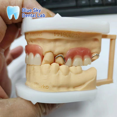 satın al Gülümsemenin Yenilenmesi Kısmi Akrilik Diş Dişleri online manufacture
